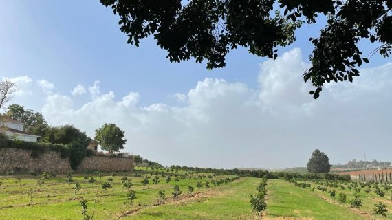 למכירה בבלעדיות: דונם במושב מבוקש בשרון