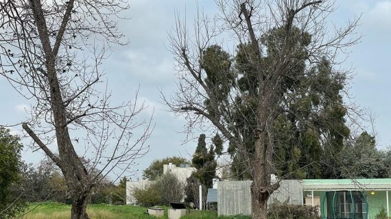 להשכרה בכפר הס, יחידת דיור חדשה, מושלמת!(הושכר!)