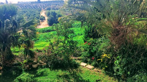 לחיות בתוך הטבע…